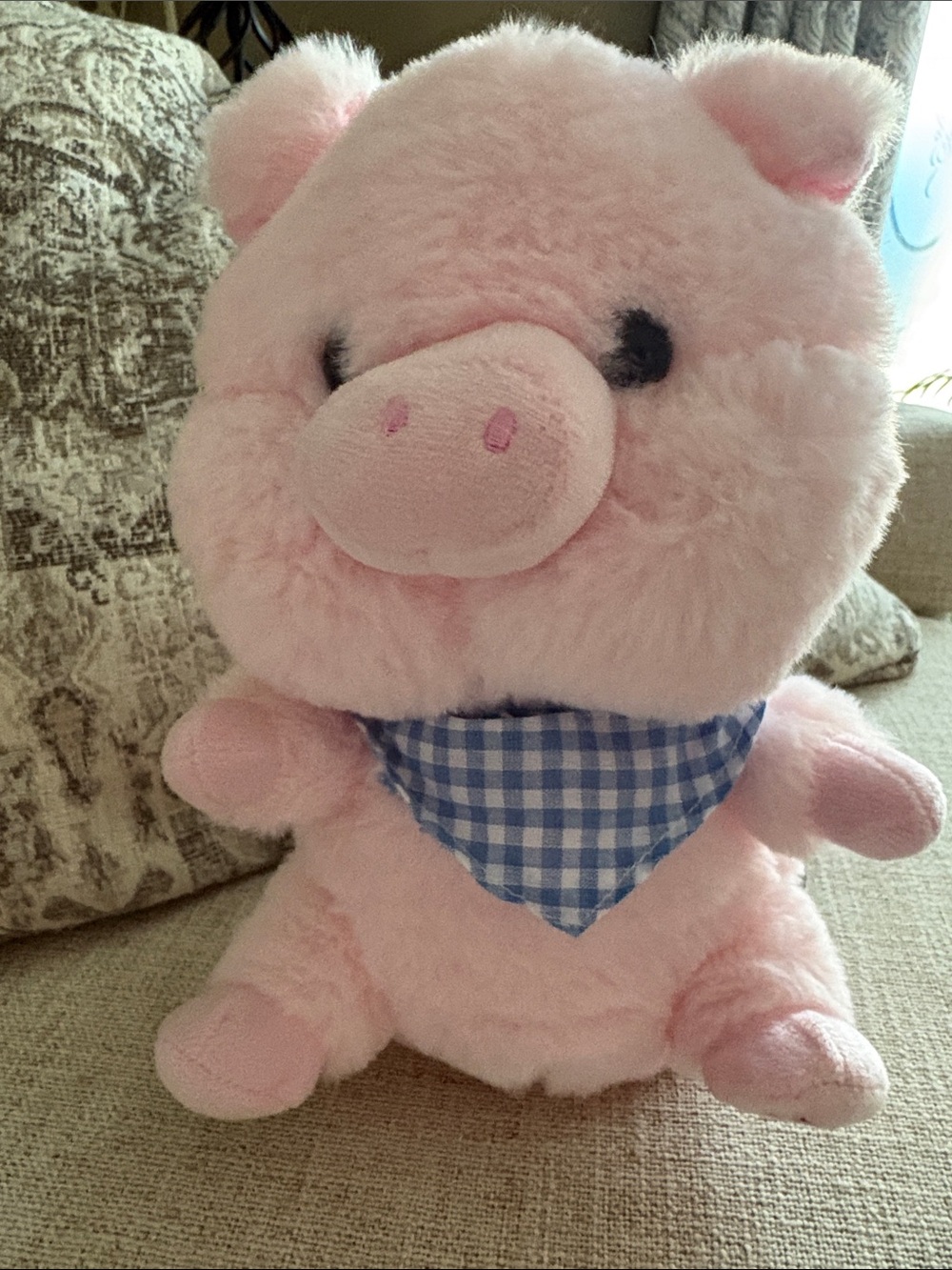 Adorable Pink Plush Pig with Blue Gingham Bandana Farmer Song and Shakes Video